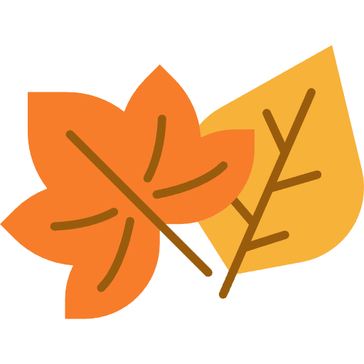 Fall