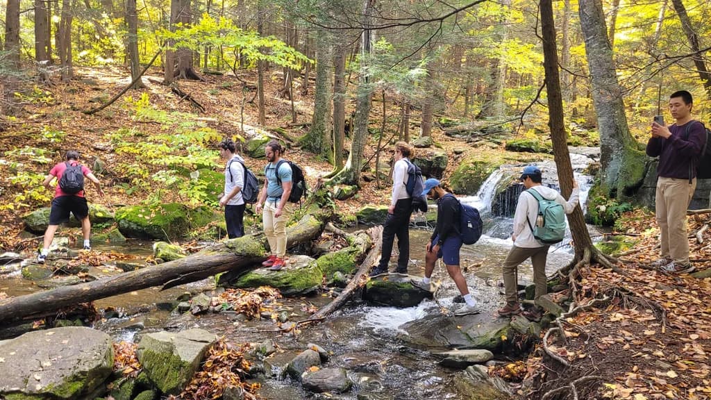 Hikers crossing a stream on rocks and logs in a forest, with one person taking a photo.