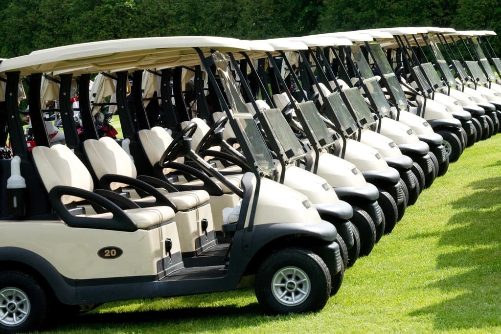 A row of golf carts lined up on a grassy area.