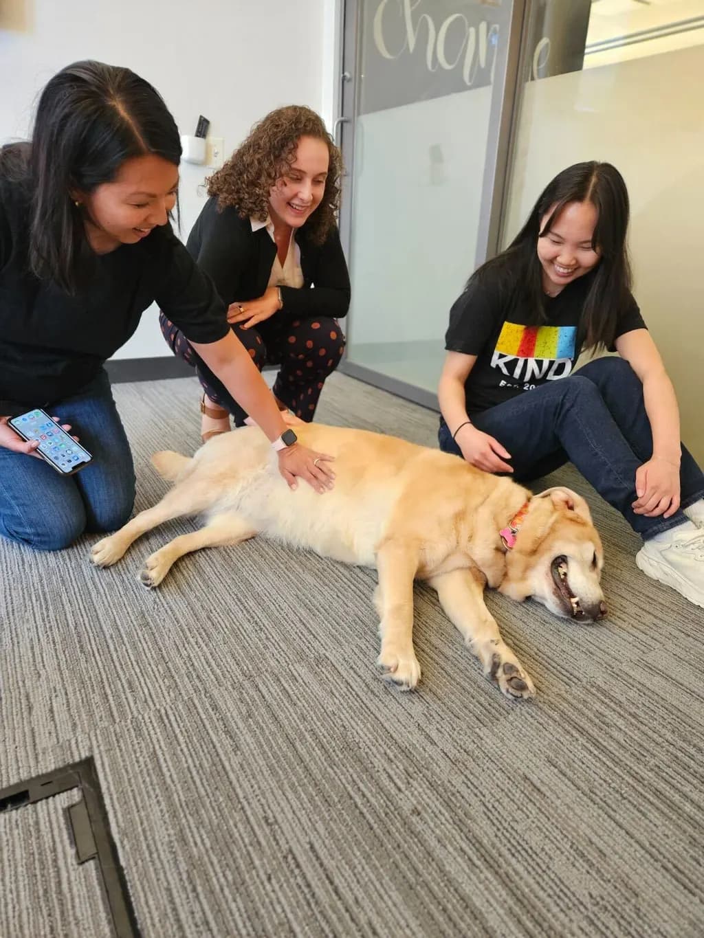a man laying down with two dogs on him