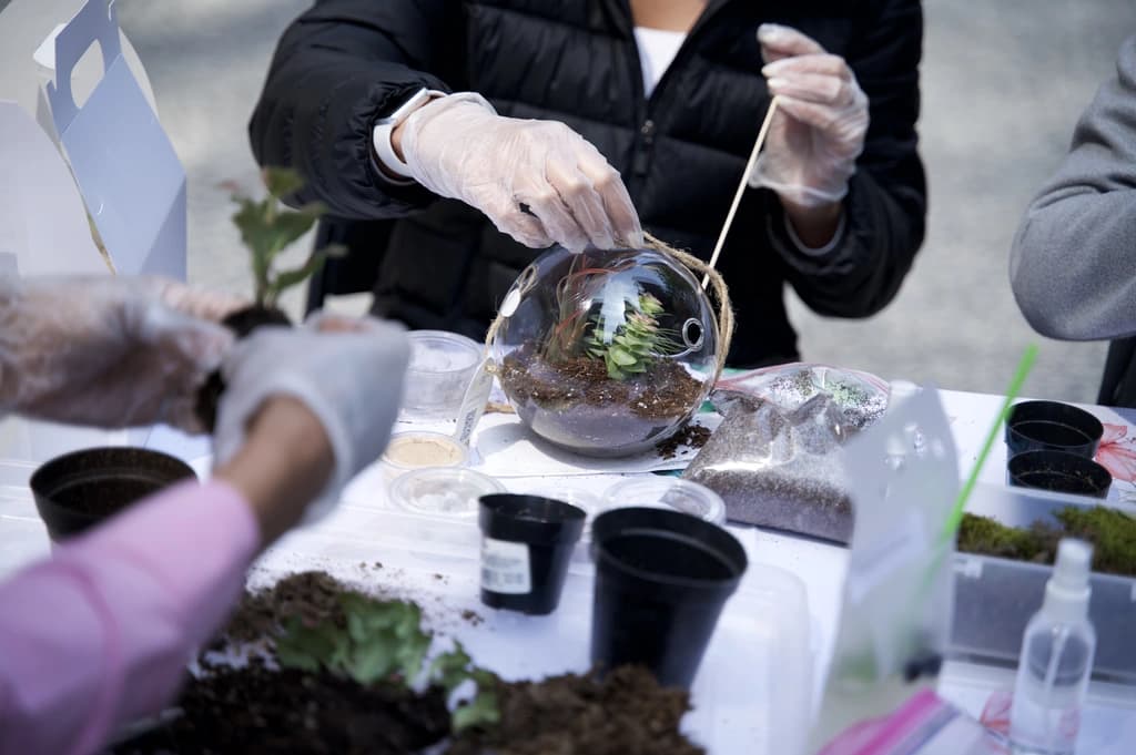 a close up of someone making a terrarium