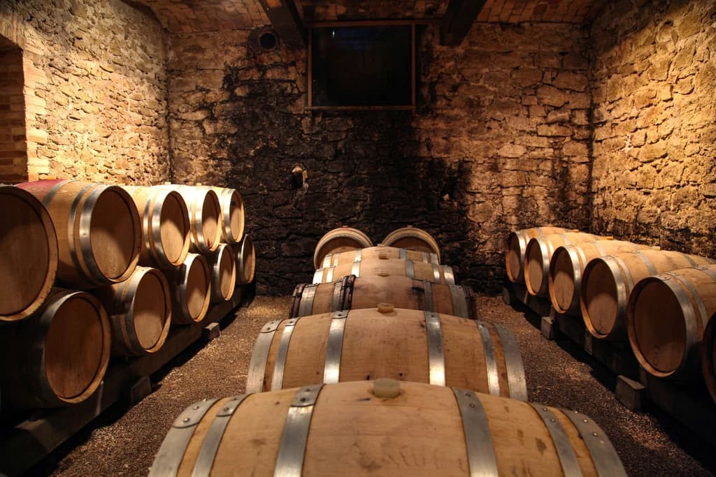 barrels of wine in a cellar